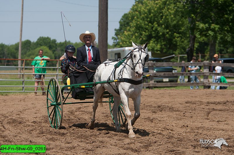 4H-Fn-Shw-09_0261.jpg