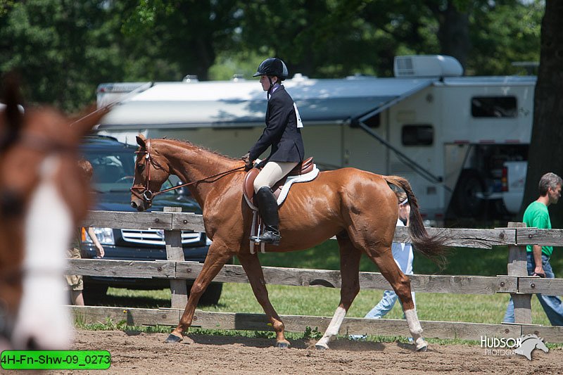 4H-Fn-Shw-09_0273.jpg