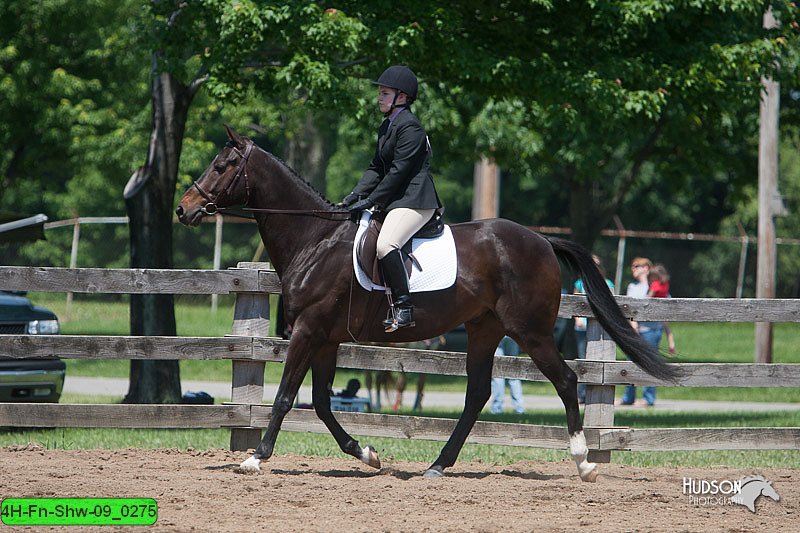 4H-Fn-Shw-09_0275.jpg