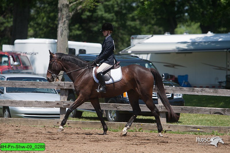 4H-Fn-Shw-09_0288.jpg