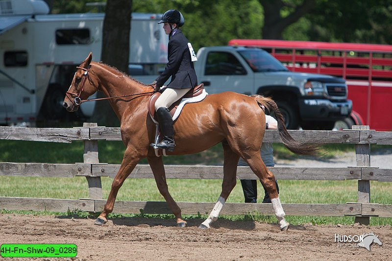 4H-Fn-Shw-09_0289.jpg