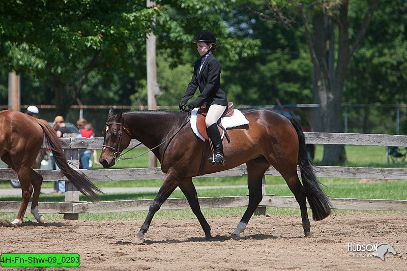 4H-Fn-Shw-09_0293.jpg