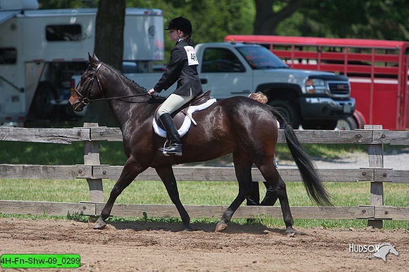 4H-Fn-Shw-09_0299.jpg