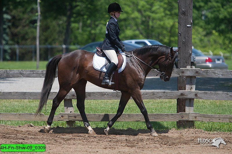 4H-Fn-Shw-09_0309.jpg