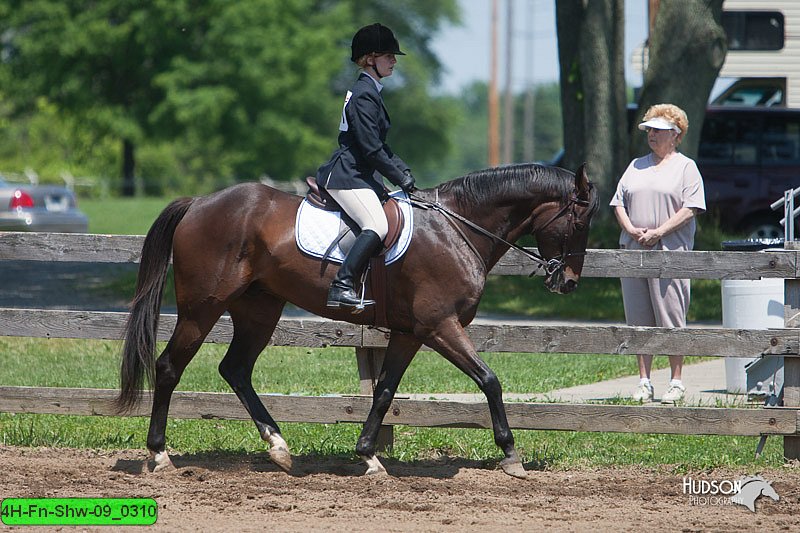 4H-Fn-Shw-09_0310.jpg