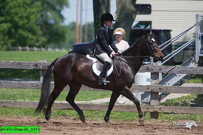 4H-Fn-Shw-09_0311.jpg