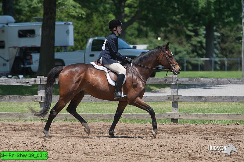 4H-Fn-Shw-09_0312.jpg