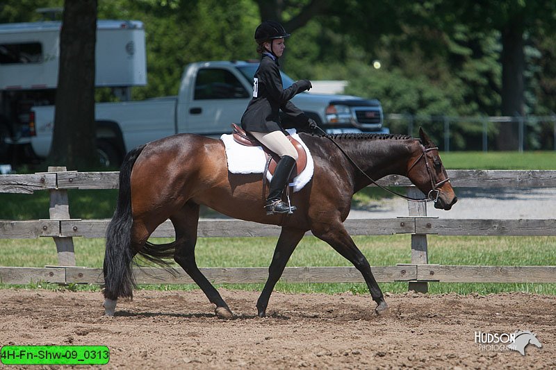 4H-Fn-Shw-09_0313.jpg