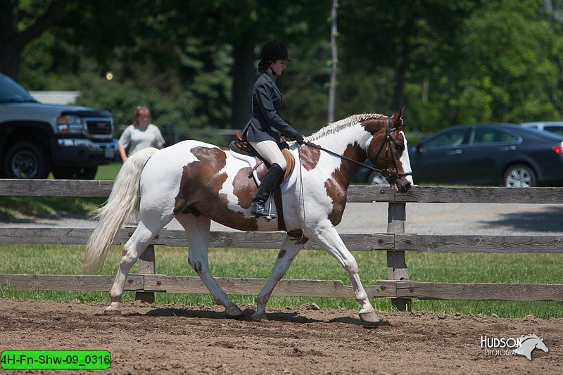 4H-Fn-Shw-09_0316.jpg