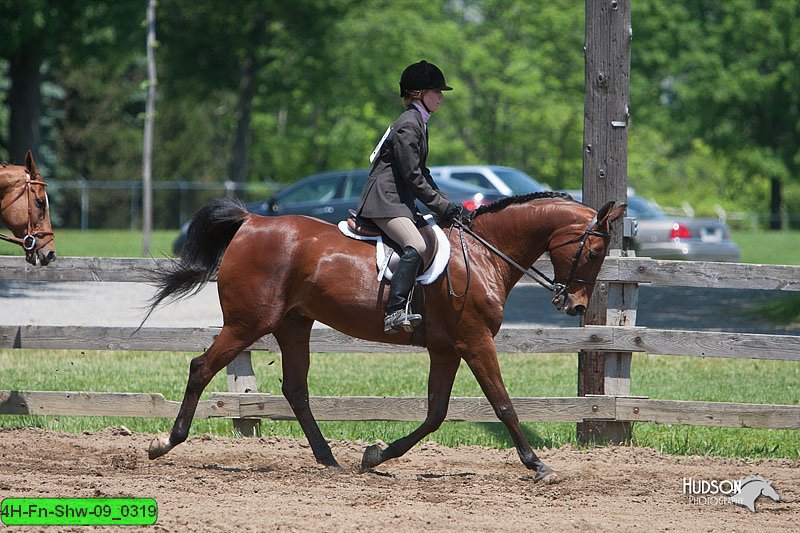 4H-Fn-Shw-09_0319.jpg