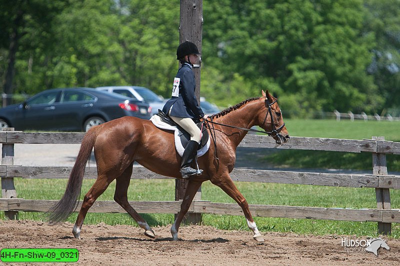 4H-Fn-Shw-09_0321.jpg