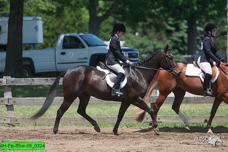 4H-Fn-Shw-09_0324.jpg