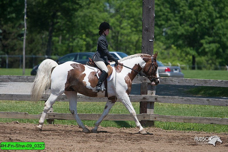 4H-Fn-Shw-09_0327.jpg