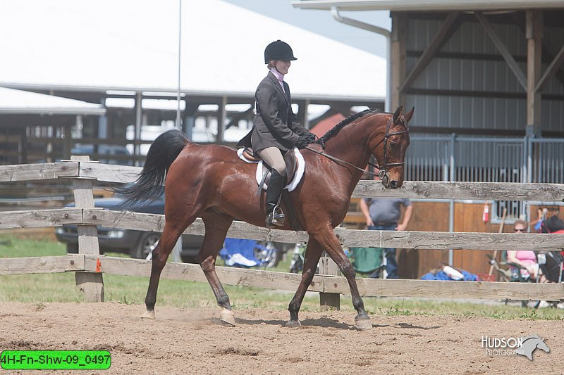 4H-Fn-Shw-09_0497.jpg