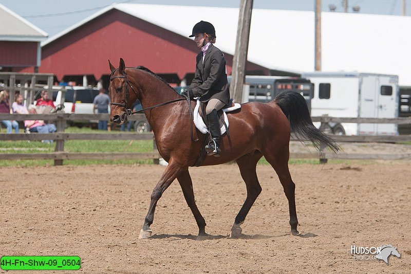 4H-Fn-Shw-09_0504.jpg