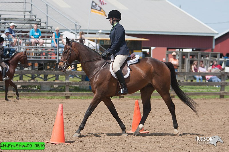 4H-Fn-Shw-09_0510.jpg