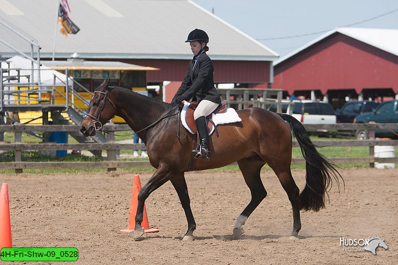 4H-Fn-Shw-09_0528.jpg