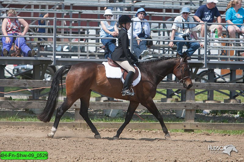 4H-Fn-Shw-09_0529.jpg