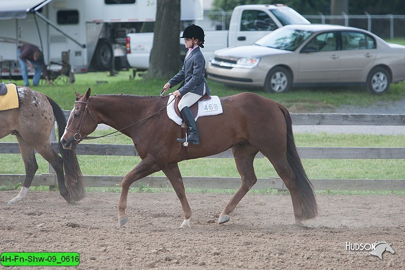 4H-Fn-Shw-09_0616.jpg