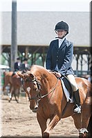 4H-Fn-Shw-09_0304.jpg
