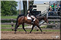 4H-Fn-Shw-09_0325.jpg