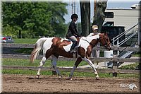 4H-Fn-Shw-09_0329.jpg