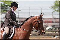 4H-Fn-Shw-09_0507.jpg