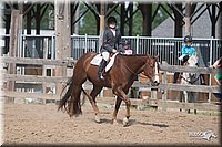 4H-Fn-Shw-09_0619.jpg
