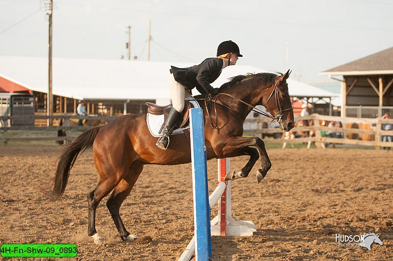 4H-Fn-Shw-09_0893.jpg