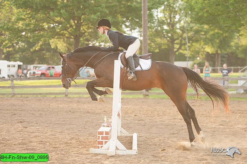 4H-Fn-Shw-09_0895.jpg