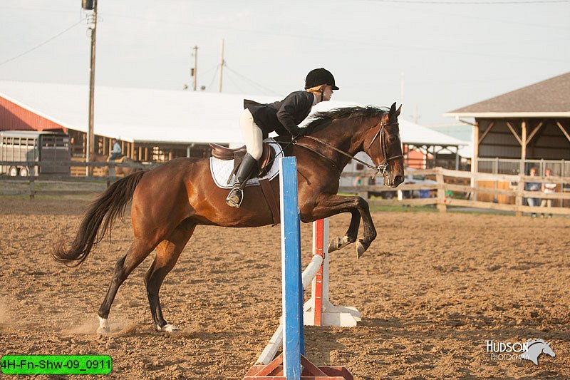 4H-Fn-Shw-09_0911.jpg