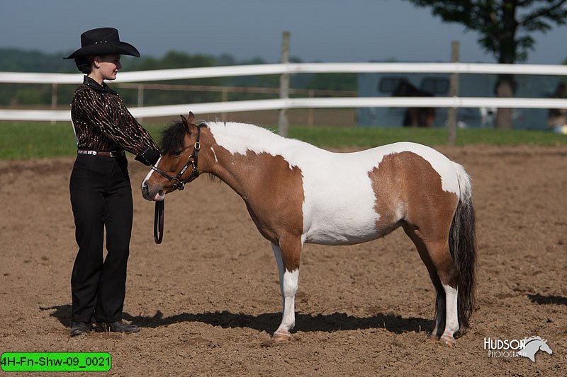 4H-Fn-Shw-09_0021.jpg