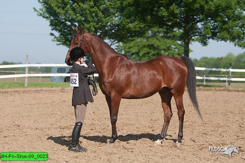 4H-Fn-Shw-09_0023.jpg