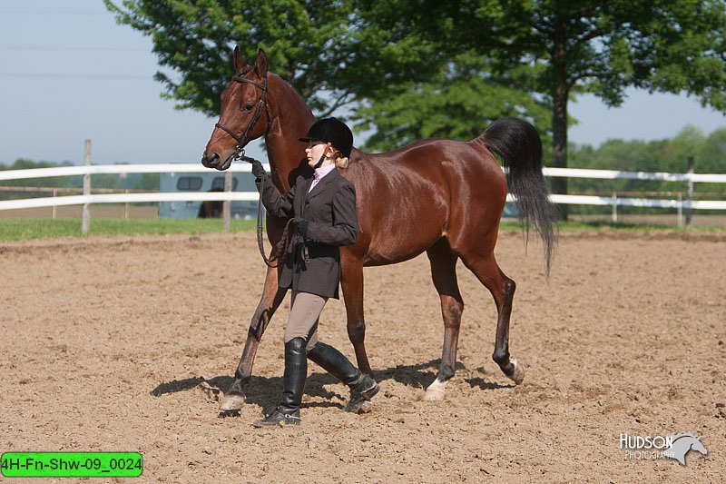 4H-Fn-Shw-09_0024.jpg