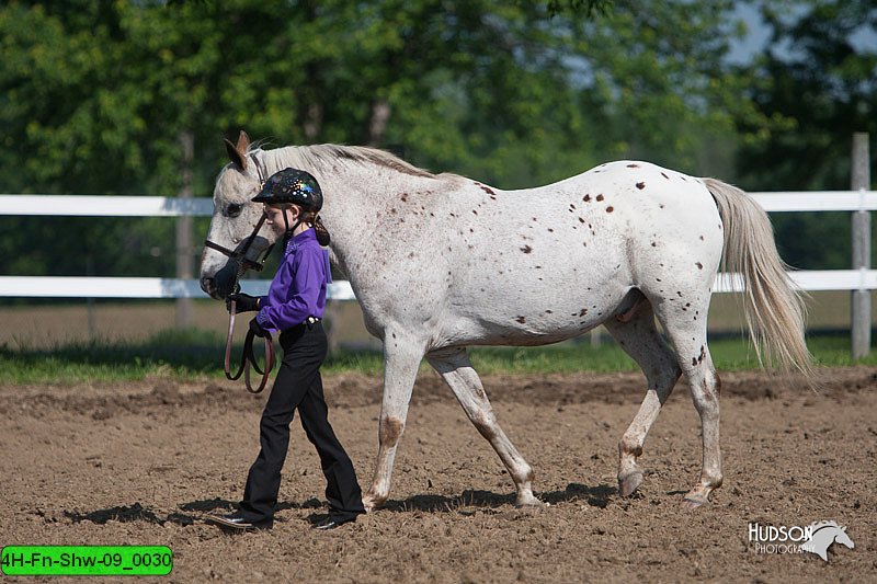 4H-Fn-Shw-09_0030.jpg