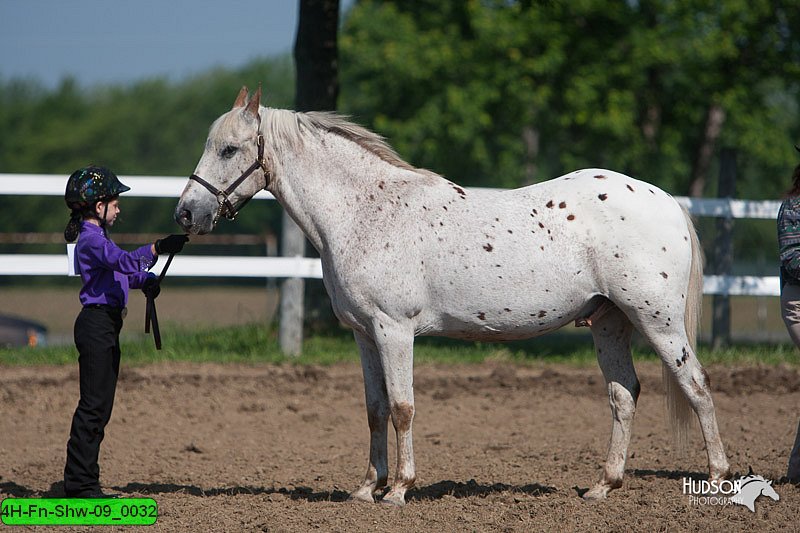 4H-Fn-Shw-09_0032.jpg