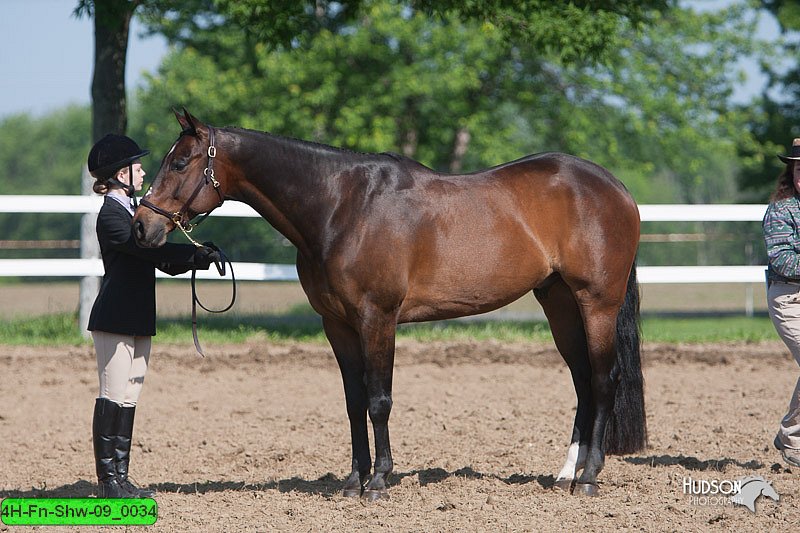 4H-Fn-Shw-09_0034.jpg