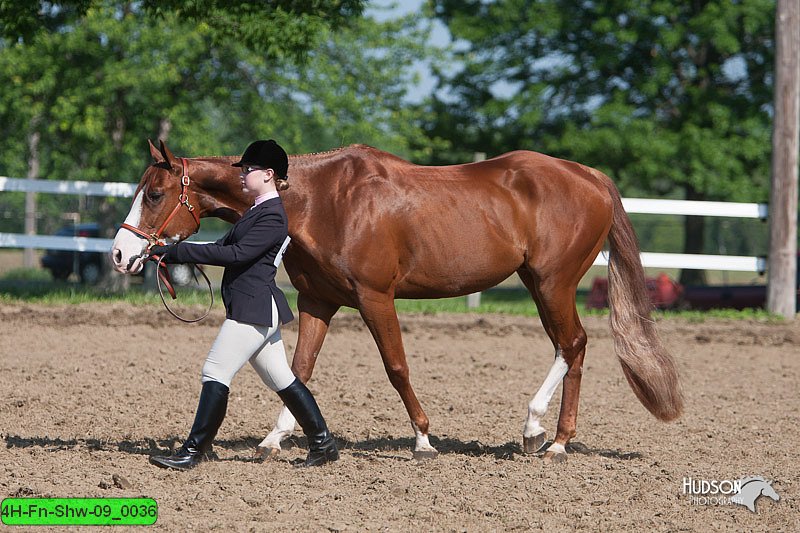 4H-Fn-Shw-09_0036.jpg