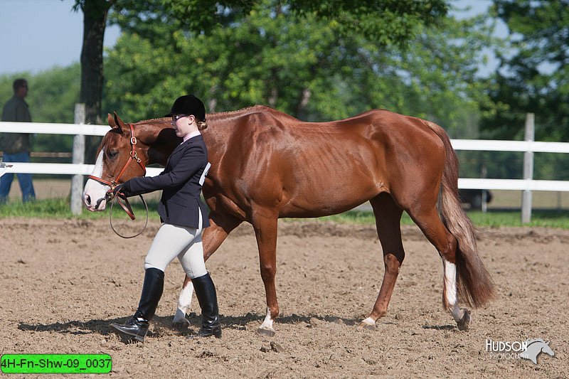 4H-Fn-Shw-09_0037.jpg