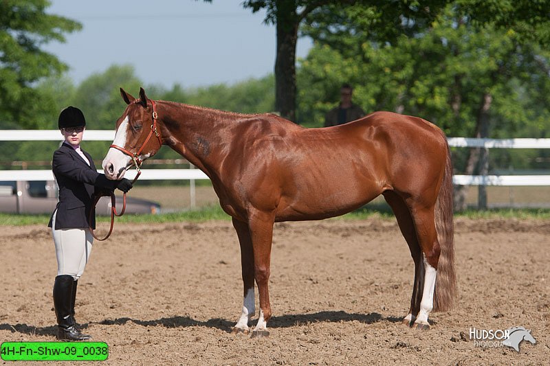 4H-Fn-Shw-09_0038.jpg