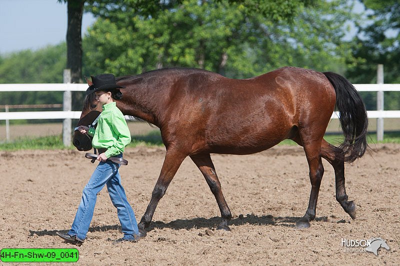 4H-Fn-Shw-09_0041.jpg