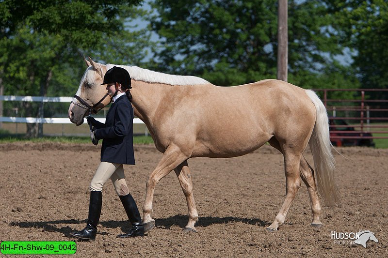 4H-Fn-Shw-09_0042.jpg