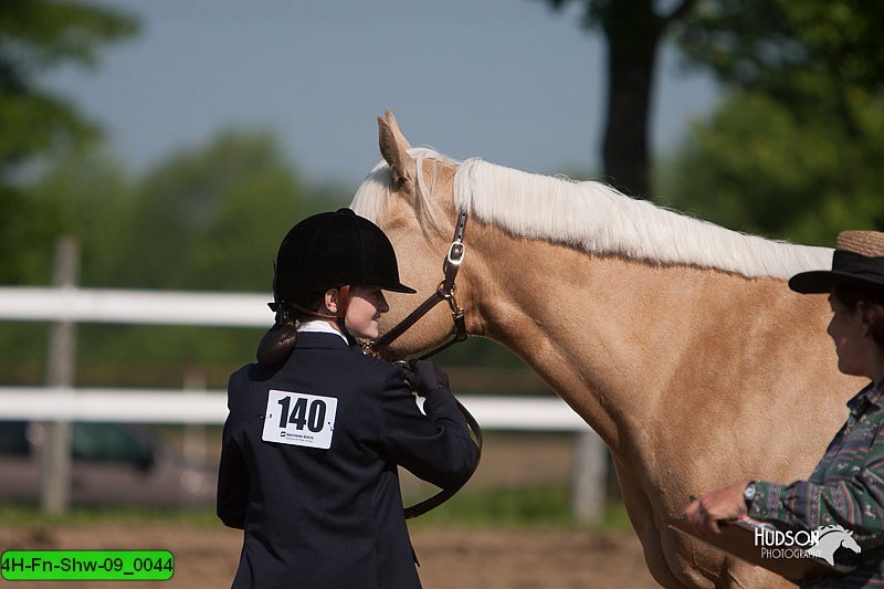 4H-Fn-Shw-09_0044.jpg