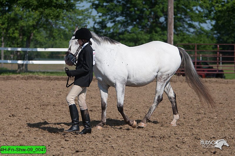 4H-Fn-Shw-09_0047.jpg
