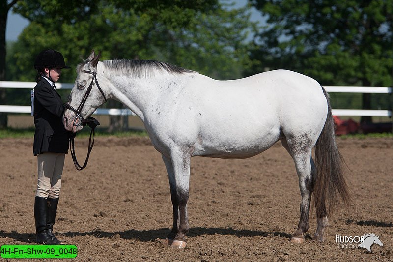 4H-Fn-Shw-09_0048.jpg