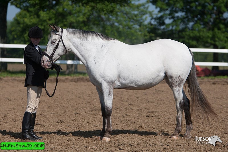 4H-Fn-Shw-09_0049.jpg