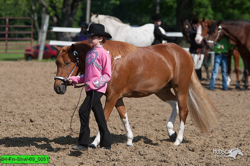 4H-Fn-Shw-09_0051.jpg