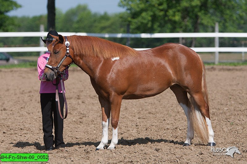 4H-Fn-Shw-09_0052.jpg