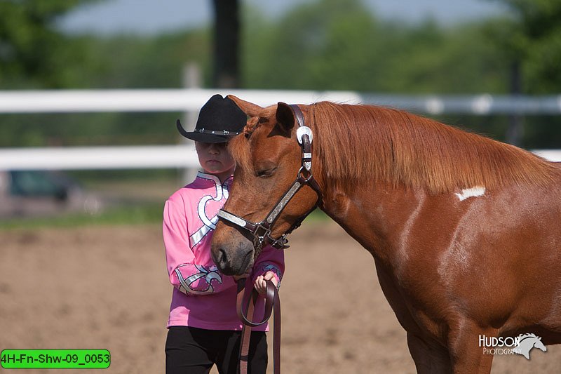4H-Fn-Shw-09_0053.jpg