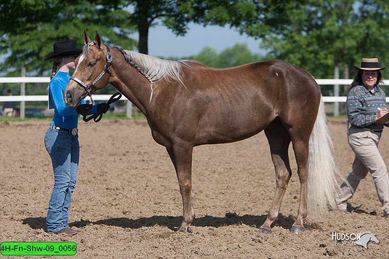 4H-Fn-Shw-09_0056.jpg